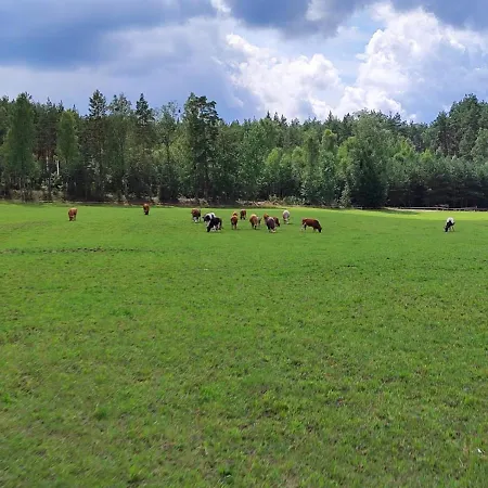 Osada Rolbik Apartmán *