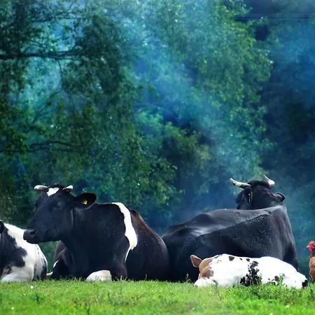 Osada Rolbik Apartmán Lesno