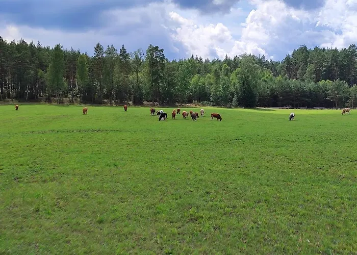 Osada Rolbik 아파트 *