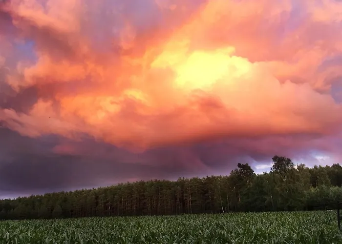 Osada Rolbik 아파트 *