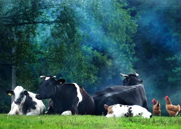 Osada Rolbik 아파트 Lesno